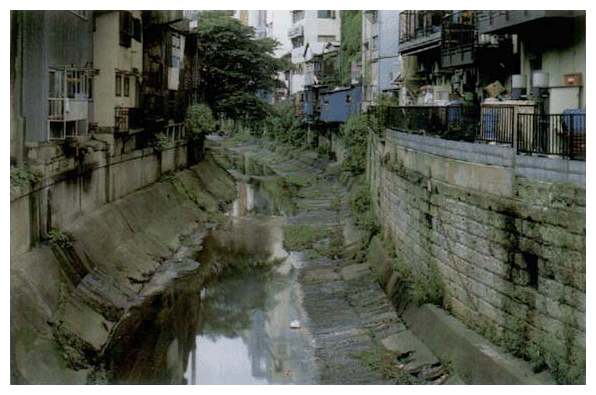 都市内中小河川