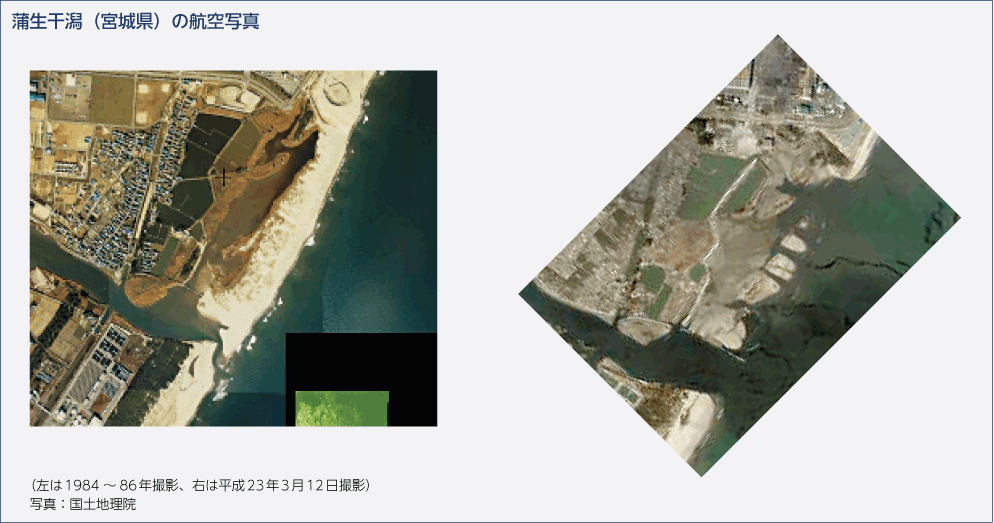 蒲生干潟（宮城県）の航空写真