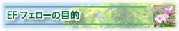 EFフェローの目的