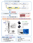 研究イメージ