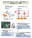 研究イメージ