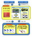 研究イメージ