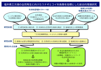 研究のイメージ