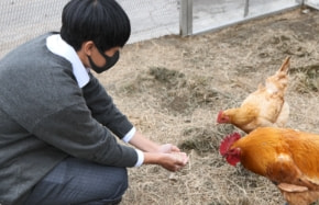 高校生が挑む地域の未利用資源を活用した持続可能な養鶏による農業実践