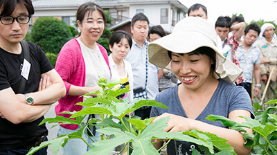 農園タロとあきの青木昭子(あきこ)さんが見学者に野菜の説明をする様子
