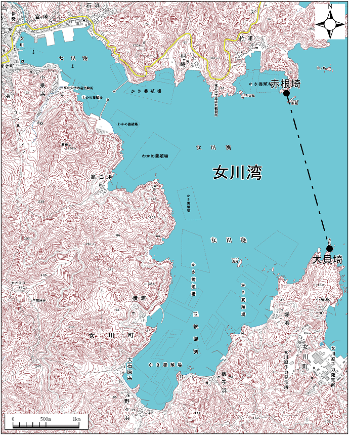 女川湾範囲または位置（拡大画像）