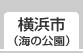 ���l�s(�C�̌���)