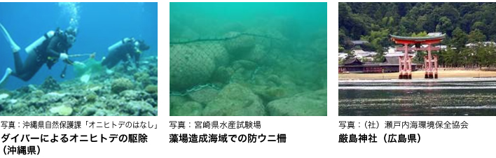 �l��ɂ��A�����̑��l���E���Y�����ێ�����̃C���[�W