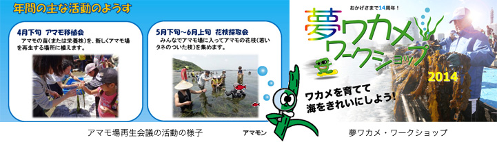 金沢八景-東京湾アマモ場再生会議、夢ワカメ・ワークショップに取り組んでいます