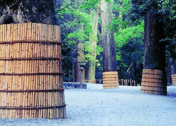 53 伊勢神宮参道千年の杜 53 伊勢神宮参道千年の杜