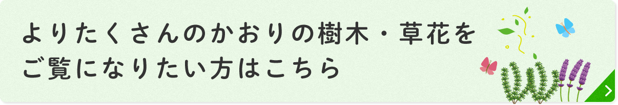 よりたくさんのかおりの樹木・草花をご覧になりたい方はこちら