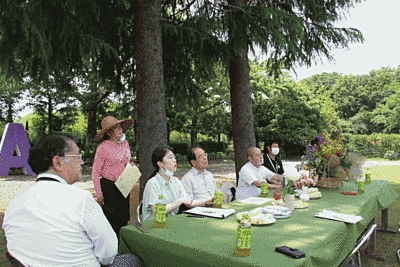 木の下に机と椅子を設置し、座っています。