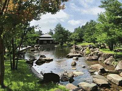 中央部には池があり、奥には建物が見えます。池の周りには鮮やかな緑があります。