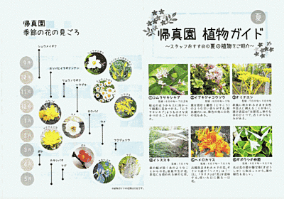 植物ガイドです。説明が書かれています。