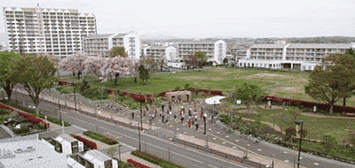 公園を上の方から撮った写真です。左には桜が咲いているのが分かります。