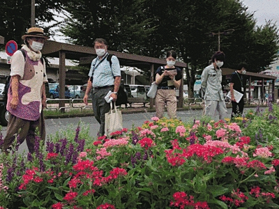 花壇に赤や濃いピンクの花がたくさん咲いています。