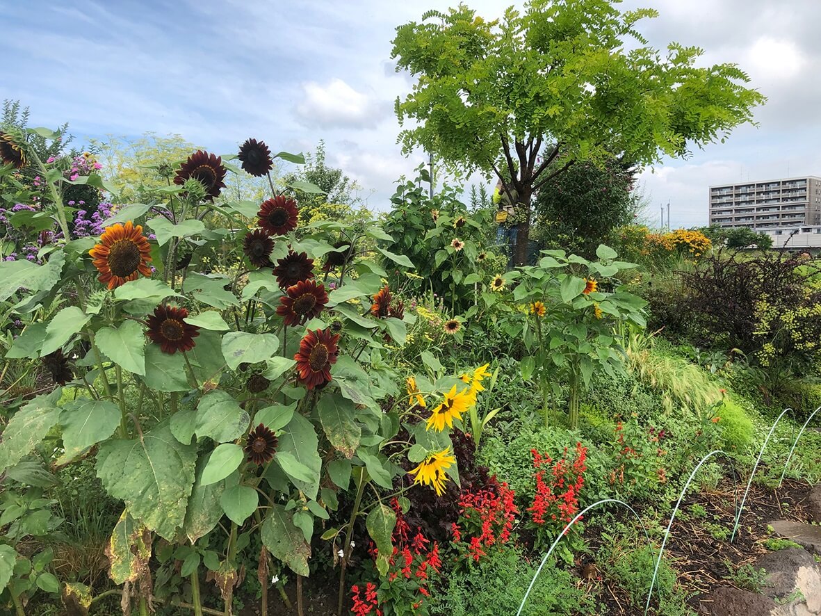 草や木、花が植えられています。黄色や赤の花が見えます。