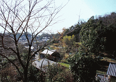 左には葉の落ちた木があり、奥には里山も見えます。