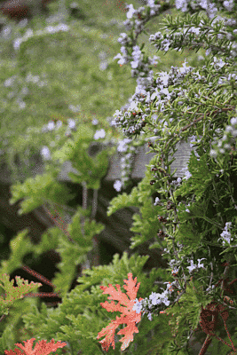 緑が多い写真です。小さな紫の花も咲いています。