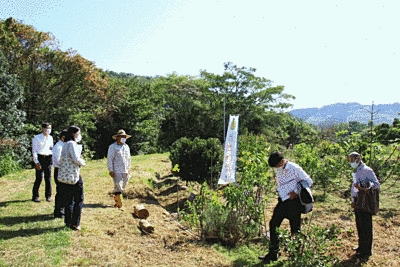 山中の開けた場所の中央に植栽とのぼりが見えます。6人の方が景色を眺めています。