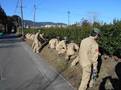 一列に並び、道路横の土手で作業をしています。