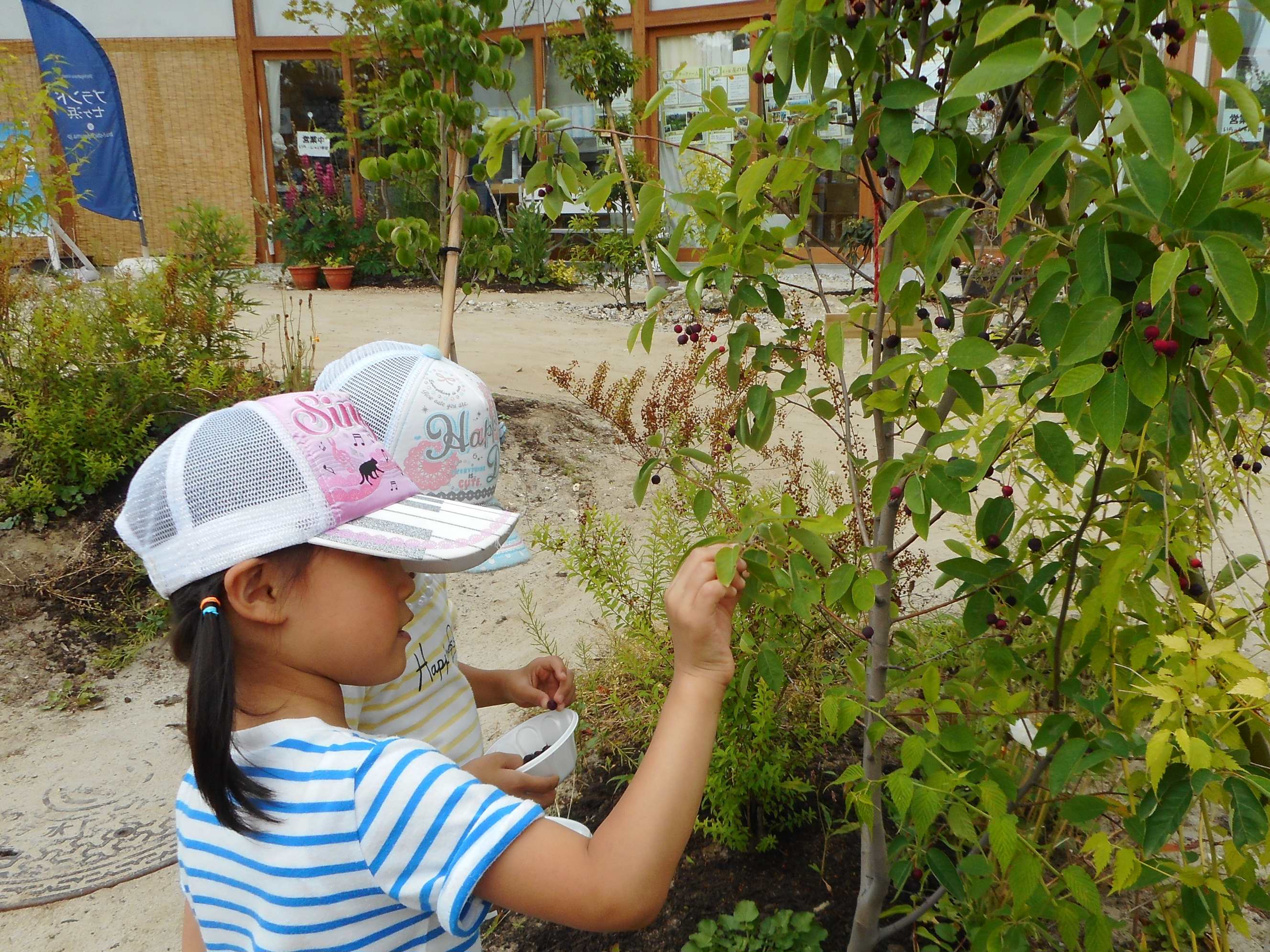 子供達が植物に触れています。