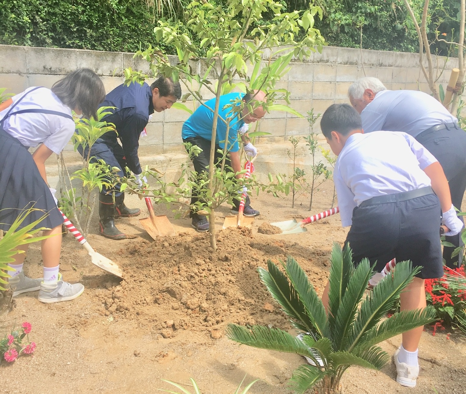 学生も大人も一緒になって、木を植えています。