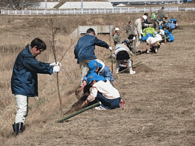 植樹作業の様子です。大人が木を支え、子供が土を掘っています。