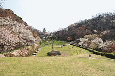 原っぱの写真です。両側に、桜が咲いているのが見えます。原っぱは中央に向かって下がっており、中心には木が見えます。木の周囲にはベンチもあり、休憩が出来るようになっています。