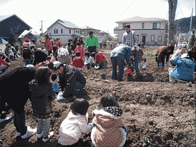 子供たちが大人と一緒になって、土に触れながら作業を行っています。
