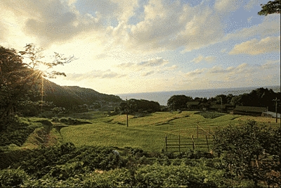 畑のような場所を含め、一面に緑が広がっています。左奥には山があり、朝焼けが雲を照らしています。