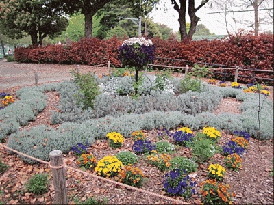 公園の一角に花壇が設置されています。花壇には白、黄色、紫、オレンジの花や草が植えられています。奥には赤い葉の植物も見えます。全体的に温かみのある色合いです。