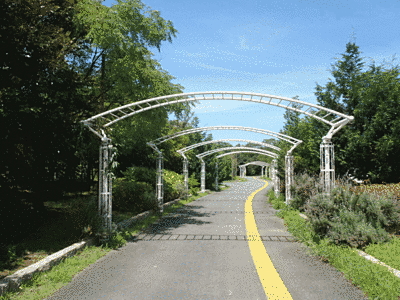 画面の真ん中に広い歩道があり、白いアーチが何本かかけられています。道の両側は植栽されています。