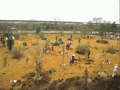 植樹や手入れなどの作業を行っています。広い土地で、多くの人が作業している様子がうかがえます。