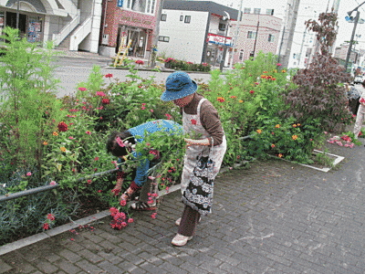 車道と歩道の間に草や花が植えられています。写真では主に2人の方が作業しています。