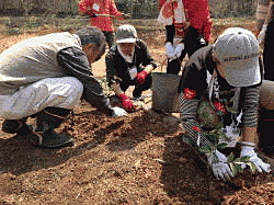 土に赤い花を植えています。写真には3名の方が写っています。