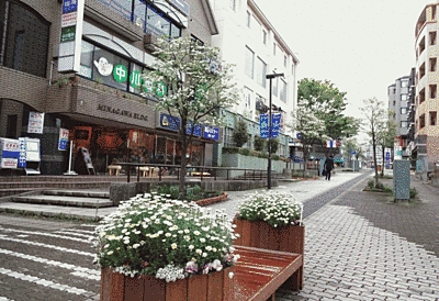 低層の建物の間にある遊歩道が写っています。ベンチの両サイドには白やピンクの花が植えられています。また、遊歩道の中央には木が何本か植えられています。