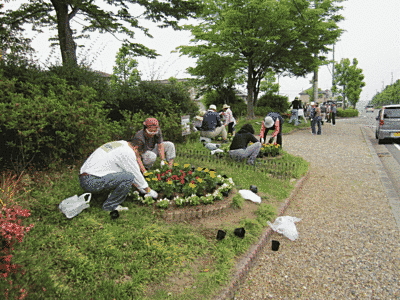 歩道の左側で、花壇の手入れをしています。歩道沿いは全体的に緑が広がっており、花壇には赤い花を中心に、その外側には黄色、さらにその外側には白の花が植えられています。