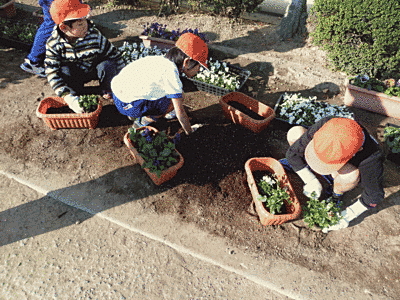 オレンジの帽子をかぶった子供たちが花壇に花を植えています。