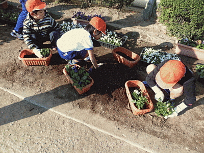 オレンジの帽子をかぶった子供たちが花壇に花を植えています。