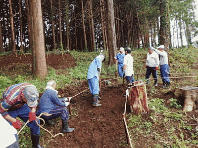 森林での作業中の写真です。中央に見える道の柵を作っているようです。