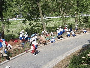 子供たちが、公園内の道の横で植栽を行っています。