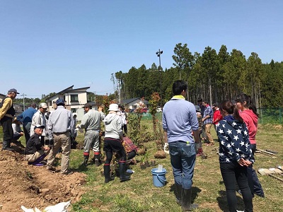 多くの人が、開けた土地で植樹作業をしています。奥には森が見えます。