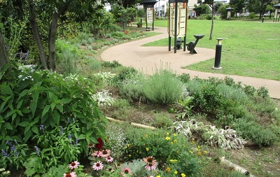 公園の写真です。中央に道があり、右手は広場になっています。道の左手には草花が植えられており、ピンクの小さな花が目を引きます。黄色い花や白みがかった草も見えます。