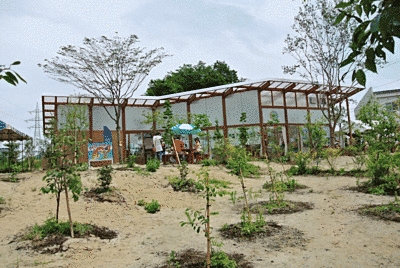 奥には建物があり、その手前には苗木が間隔を空けて植えられています。