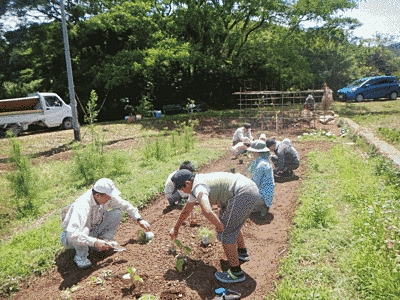 子供や大人たちが農地に樹木や草花を植栽している様子です。