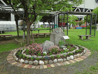 石で囲まれた花壇に、小さな淡いピンク色の花が植えられています。奥にはベンチも見えます。公園の休憩スペースのようです。