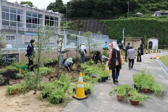 プールのフェンスと道の間にあるスペースで作業をしています。中くらいの高さの木が植えられており、プランターにも植物が植えられています。多くの方が作業しています。