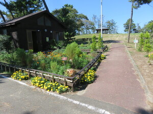 中央に小道があり、左側に小屋があります。小屋と道の間には庭があり、オレンジや黄色の花、緑の草を見ることが出来ます。