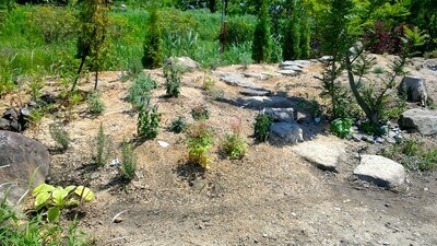 奥に草木が生えているのが見えます。手前側は庭になっており、木や草花が植えられています。